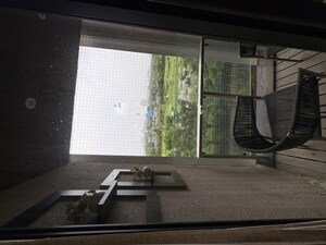 Living Room in 2 BHK Apartment at Piramal Aranya, Byculla – for Rent