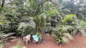 Plot Area in  Plot at Thombrewadi – for Sale