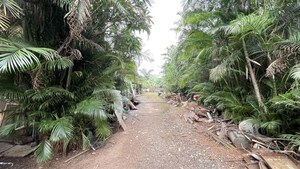 Plot Area in  Plot at Thombrewadi – for Sale