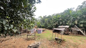  Plot For Sale in Thombrewadi