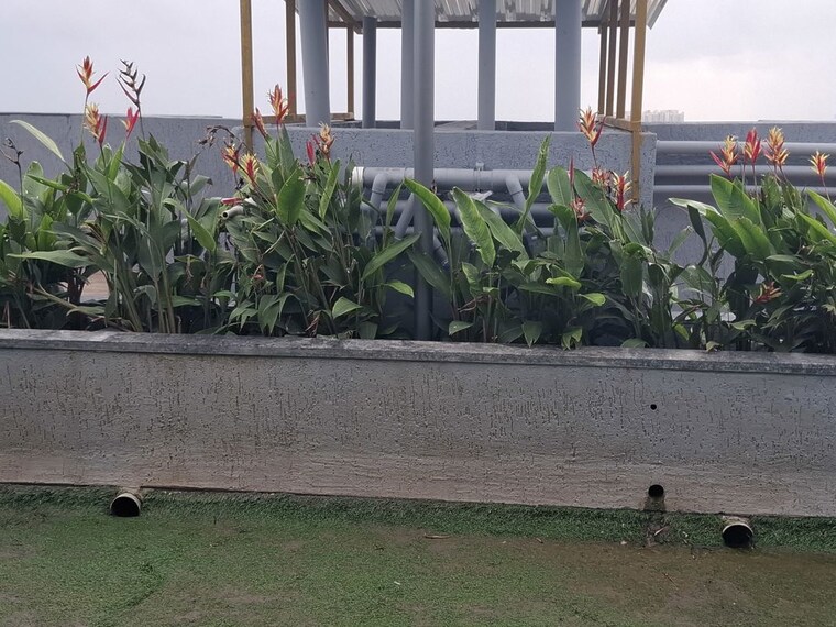 Terrace, unique-sky-city 1 Bedroom 380 Sq.Ft. Apartment In Virar East Palghar 10629438