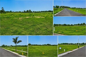 Plot Area in  Plot at Kesora – for Sale