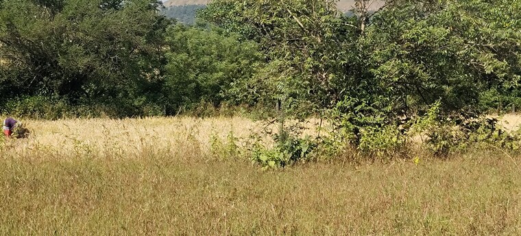 undefined, igatpuri  1 Acre Plot In Igatpuri Nashik 9505608