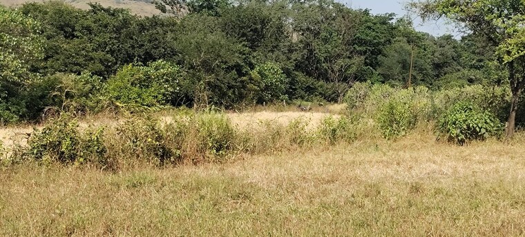 undefined, igatpuri  1 Acre Plot In Igatpuri Nashik 9505608