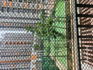 Swimming Pool in 1 BHK Apartment at Shapoorji Pallonji Joyville, Virar West – for Rent