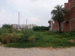 Plot Area in  Plot at Nagla – for Sale