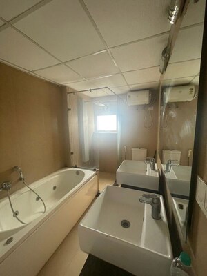 Team Area in 3 BHK Builder Floor at Sector 23 – for Rent