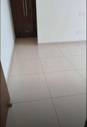 Room in 3 BHK Apartment at Maya Green Lotus Saksham, International Airport Road – for Rent