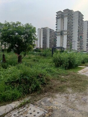 Plot Area in  Plot at BPTP Amstoria Plot, Sector 102 – for Sale