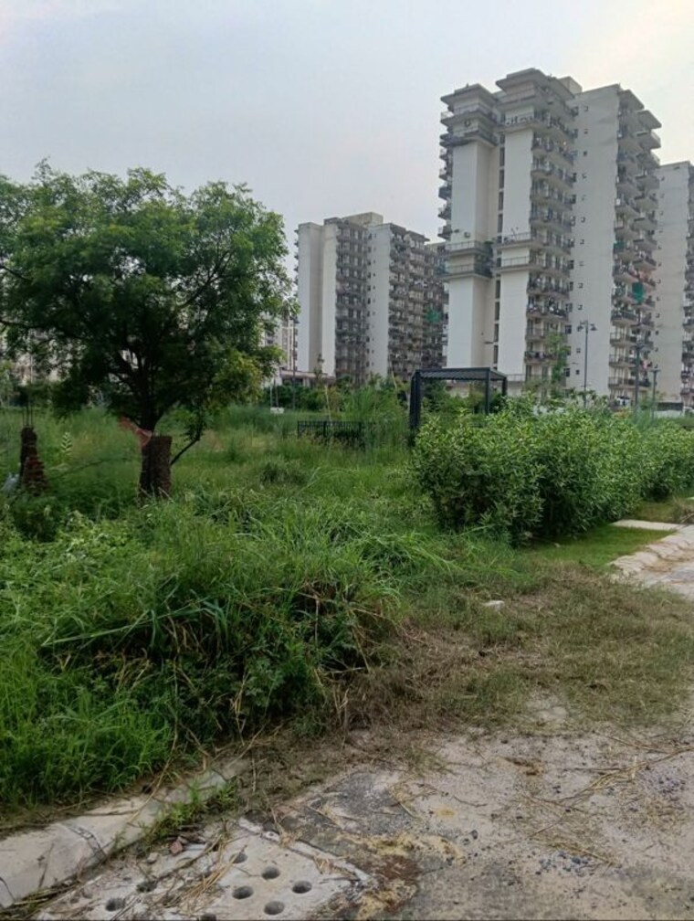 undefined, bptp-amstoria-plot  245 Sq.Yd. Plot In Sector 102 Gurgaon 10629990