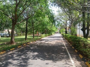 Plot Area in 3 BHK Villa at Mulberry Meadows, Devanahalli – for Rent