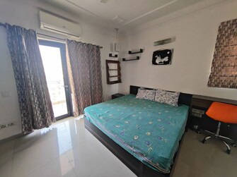 3 BHK + Servant Room 3990 Sq.Ft. Apartment in Ireo Victory Valley