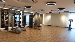 3.5 BHK Apartment For Sale in Kothrud