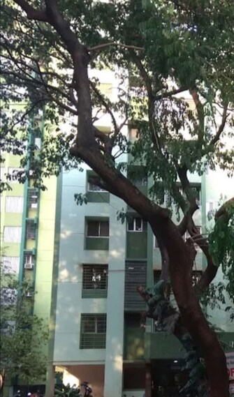4 BHK + Prayer Room,Servant Room,Study Room 1950 Sq.Ft. Apartment in Eden Woods complex