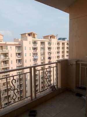3.5 BHK Apartment For Rent in Emaar Palm Hills, Sector 77