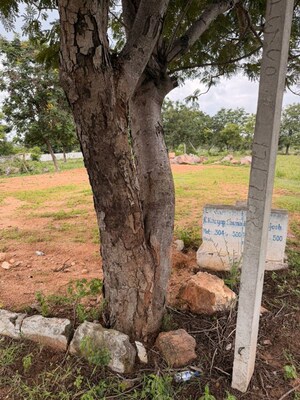 Plot Area in  Plot at Suvarna Kuteer, Shadnagar – for Sale