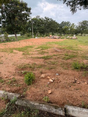Plot Area in  Plot at Suvarna Kuteer, Shadnagar – for Sale