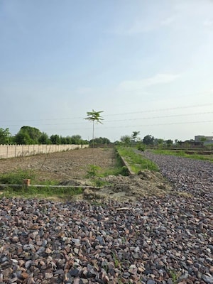 Plot Area in  Plot at Jait – for Sale