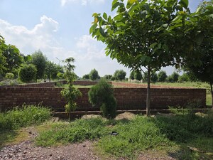  Plot – Garden View at Jait - for Sale
