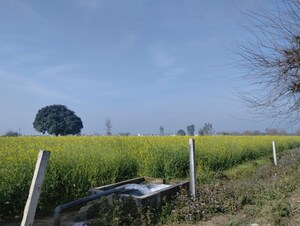  Plot For Sale in Sapnawat