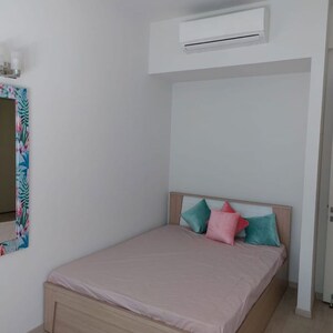 3.5 BHK Apartment For Rent in Emaar MGF The Palm Drive Villas, Sector 66