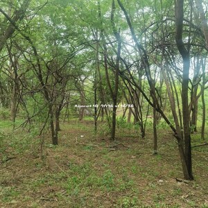  Plot For Sale in Bibinagar