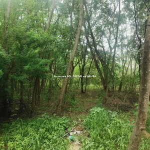  Plot – Exterior View View at Bibinagar - for Sale