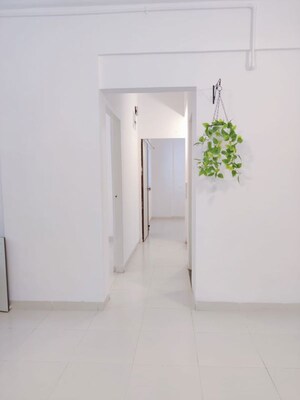 Room in 1 BHK Apartment at Magarpatta City Zinnia, Hadapsar – for Rent
