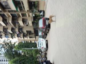Master Plan in 1 BHK Apartment at Shruti Park, Dhokali – for Rent