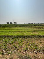 7200 Sq.Ft. Plot in Sanand