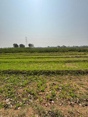  Plot For Sale in Sanand