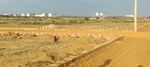 1353 Sq.Ft. Plot in Patrapada