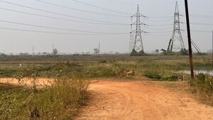 Plot Area in  Plot at Patrapada – for Sale