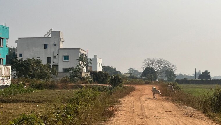 Exterior View, patrapada  1365 Sq.Ft. Plot In Patrapada Bhubaneswar 10630835