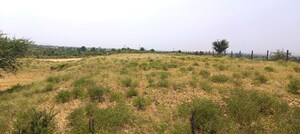  Land For Sale in Kajipura