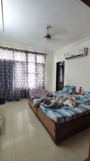 3 BHK Apartment For Rent in Vip Road