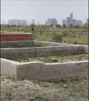 Plot Area in  Plot at Mitrol – for Sale