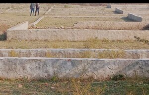 Plot Area in  Plot at Mitrol – for Sale