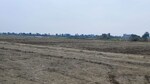 300 Sq.Yd. Plot in Mitrol