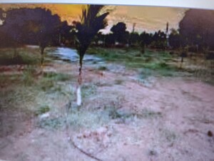  Plot For Sale in Ballari