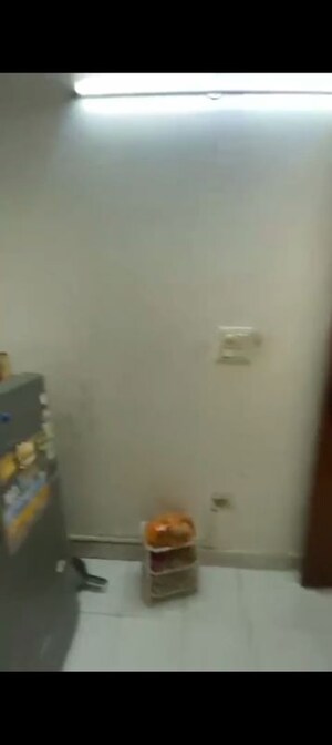 Furnished Amenities in 4 BHK Builder Floor at Sector 52 – for Rent