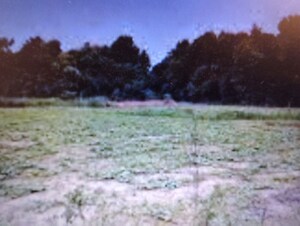  Plot For Sale in Devanahalli