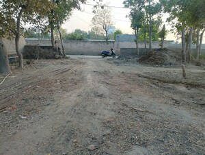  Plot For Rent in Sector 167