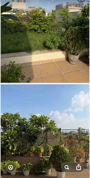 Plot Area in 4 BHK Builder Floor at Panchsheel Park – for Rent