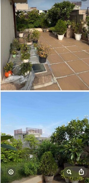 Balcony in 4 BHK Builder Floor at Panchsheel Park – for Rent