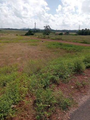  Plot For Sale in Jatni