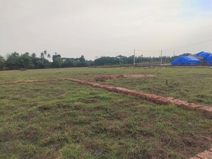 Plot Area in  Plot at Jatni – for Sale