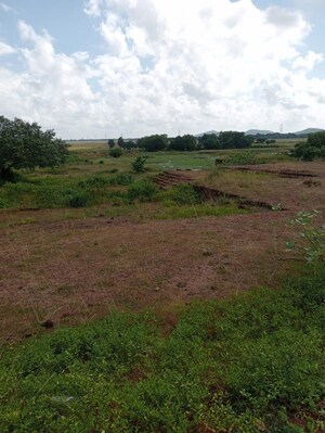 Plot Area in  Plot at Jatni – for Sale