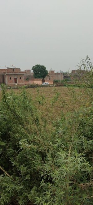 Plot Area in  Plot at Radha Krishna Residency, Tilapta – for Sale