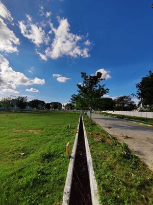 Plot Area in  Plot at Hoskote – for Sale